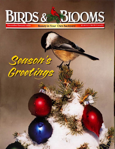 Birds & Blooms December/January 2002
