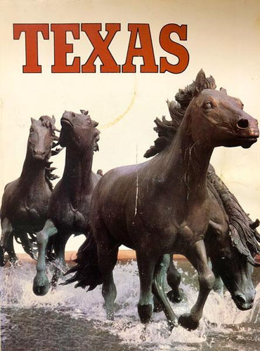 Texas Travel Guide
