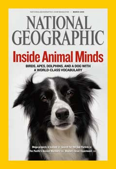 National Geographic: March 2008