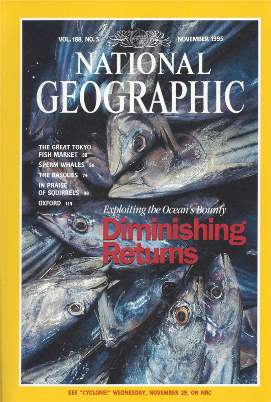 National Geographic: Nov. 1995
