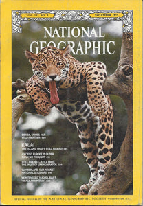 National Geographic: Nov. 1977