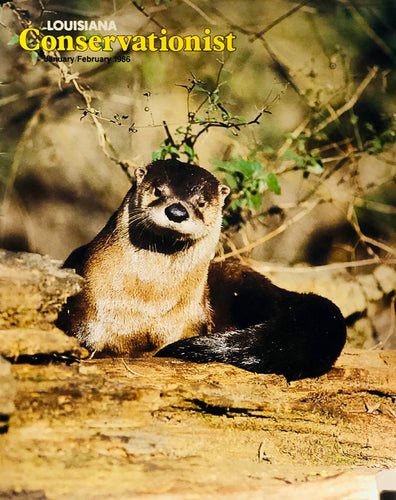 Louisiana Conservationist