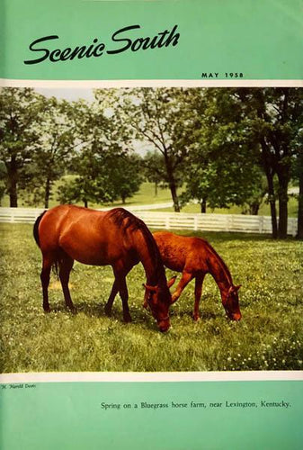 Scenic South May 1958